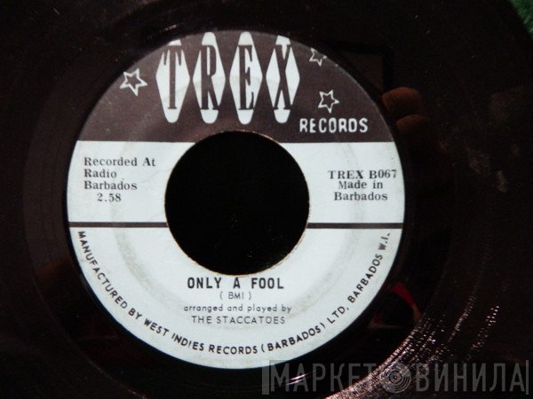 The Staccatoes - Only A Fool / Miss Tourist