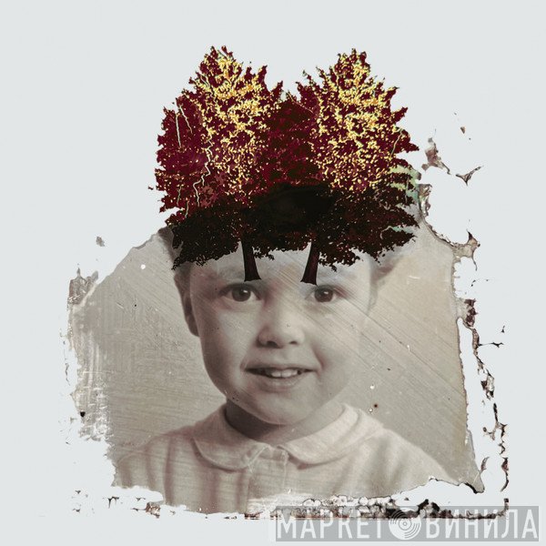 The Stargazer's Assistant - Modular Fields • Volume Two
