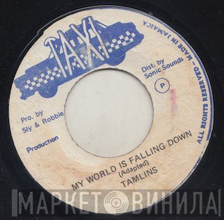 The Tamlins - My World Is Falling Down