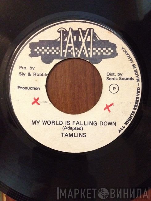 The Tamlins - My World Is Falling Down