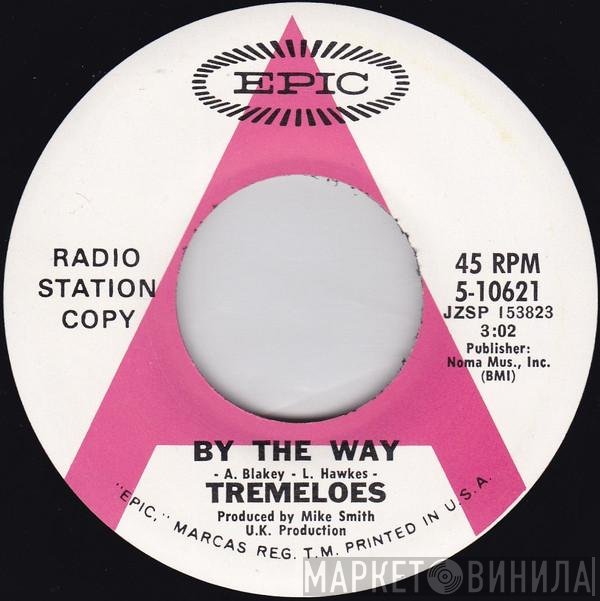 The Tremeloes  - By The Way