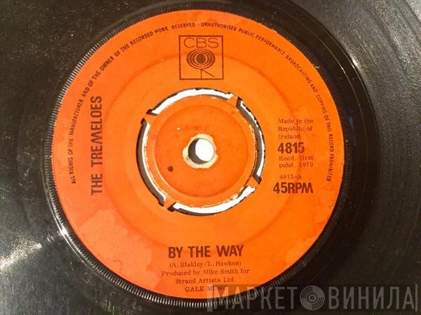 The Tremeloes  - By The Way