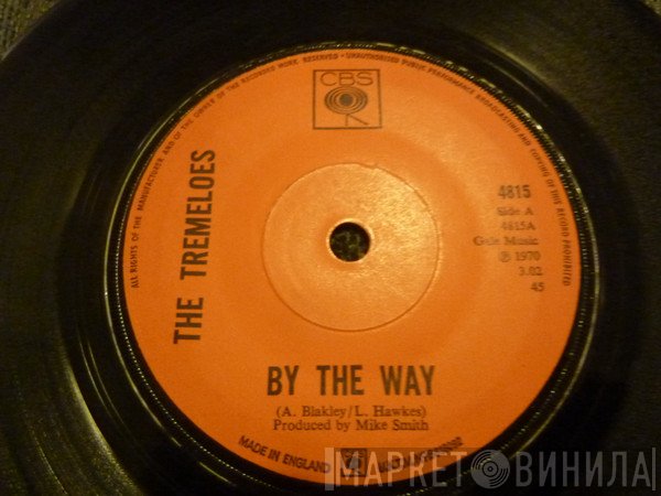 The Tremeloes - By The Way