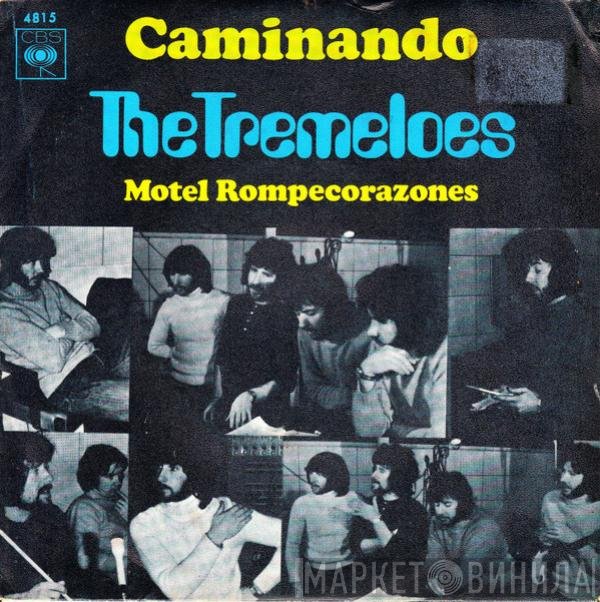 The Tremeloes  - Caminando