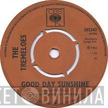 The Tremeloes  - Good Day Sunshine