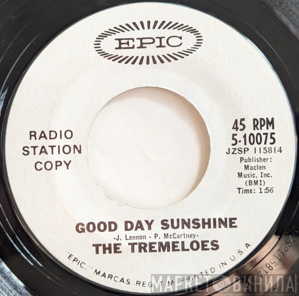 The Tremeloes  - Good Day Sunshine