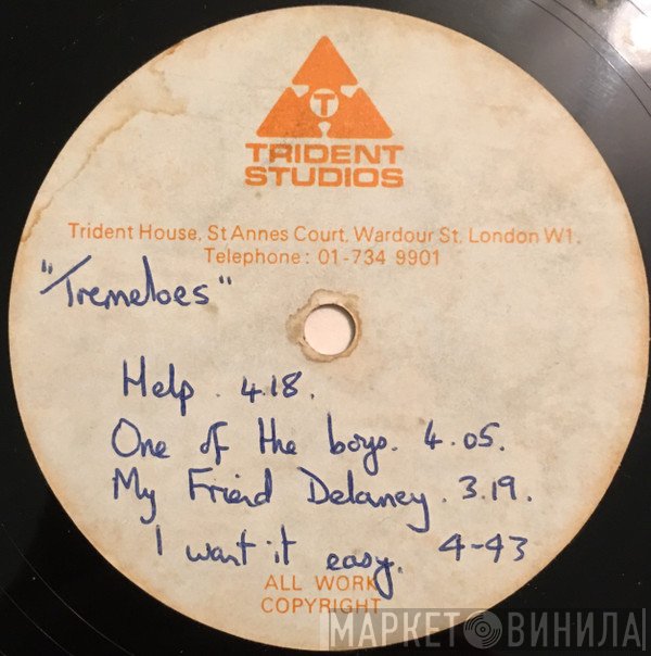 The Tremeloes  - Shiner