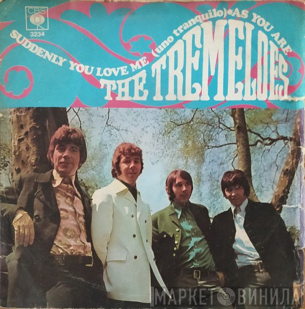 The Tremeloes - Suddenly You Love Me = Uno Tranquilo / As You Are