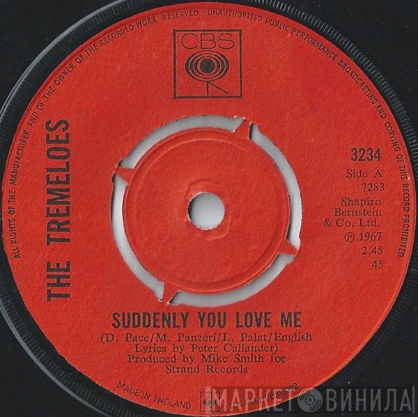 The Tremeloes - Suddenly You Love Me / As You Are
