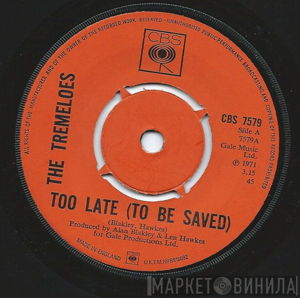 The Tremeloes - Too Late (To Be Saved)