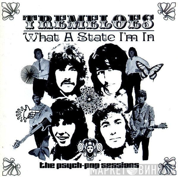 The Tremeloes - What A State I'm In