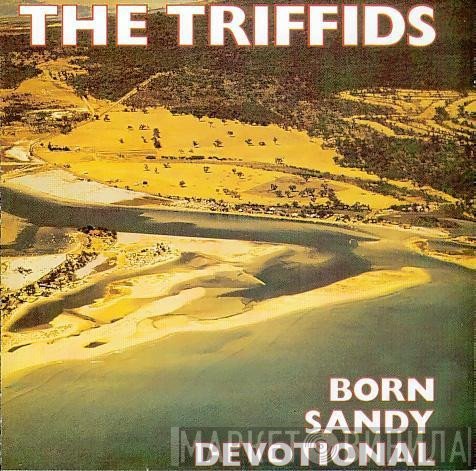 The Triffids - Born Sandy Devotional