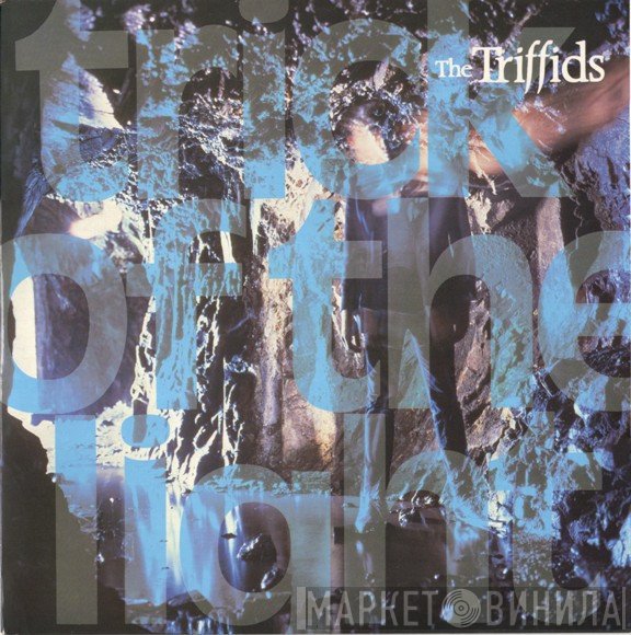 The Triffids - Trick Of The Light