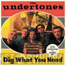 The Undertones  - Dig What You Need