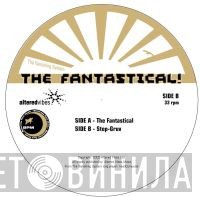 The Vanishing System - The Fantastical/Step-Gruv