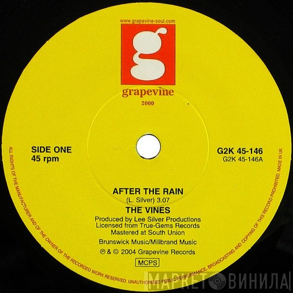 The Vines  - After The Rain
