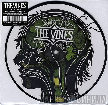 The Vines  - Anysound