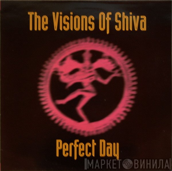 The Visions Of Shiva  - Perfect Day