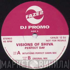 The Visions Of Shiva - Perfect Day