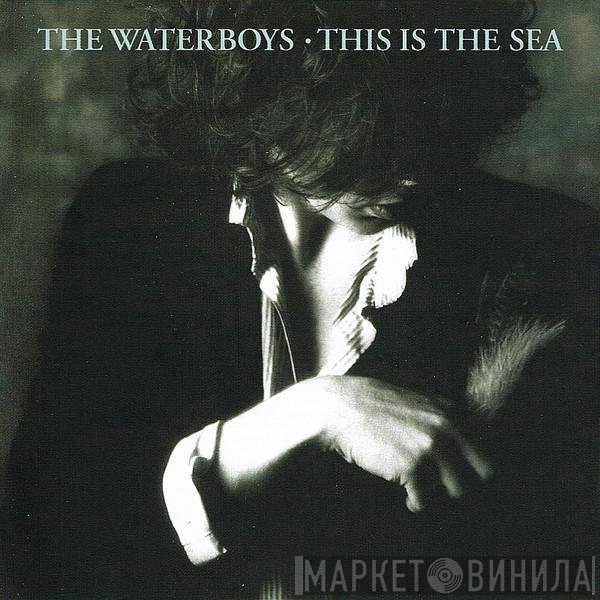 The Waterboys - This Is The Sea
