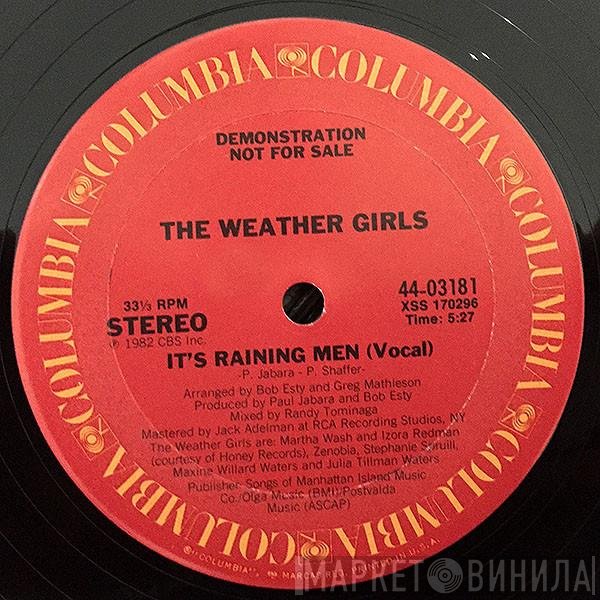 The Weather Girls  - It's Raining Men