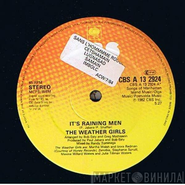 The Weather Girls - It's Raining Men