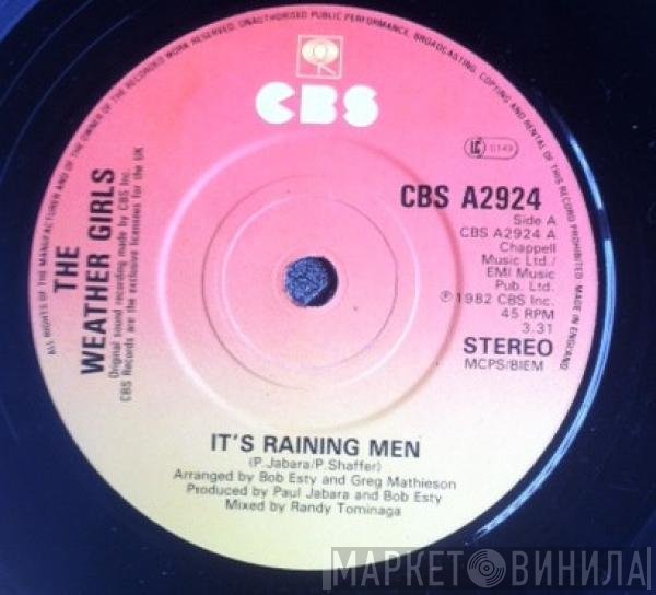 The Weather Girls  - It's Raining Men