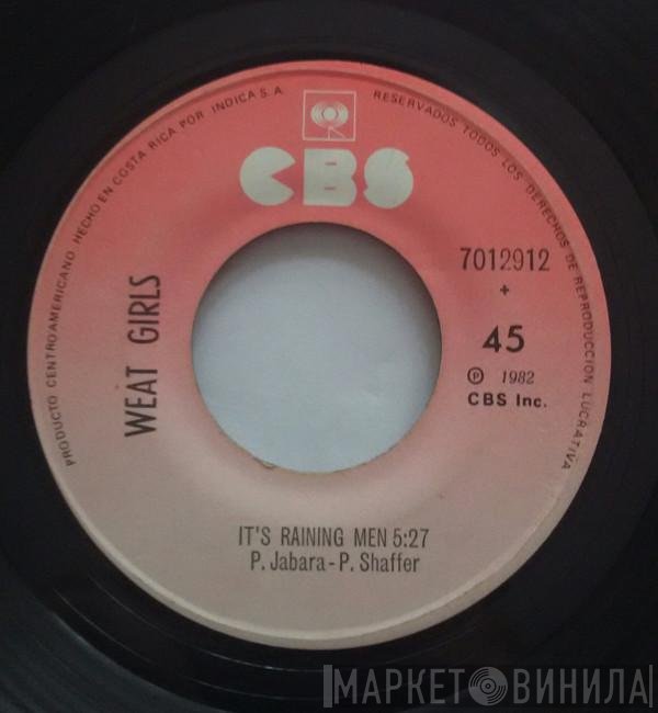 The Weather Girls  - It's Raining Men