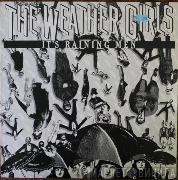 The Weather Girls  - It's Raining Men