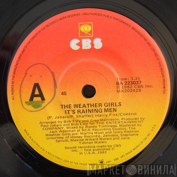 The Weather Girls  - It's Raining Men