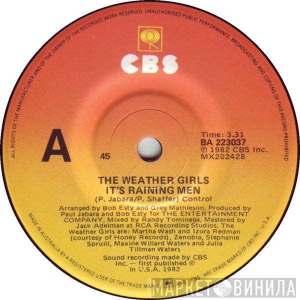 The Weather Girls  - It's Raining Men