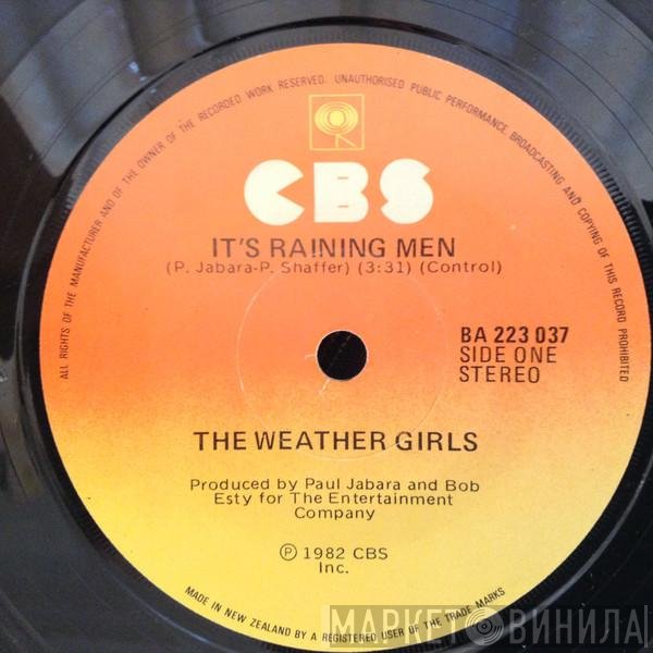 The Weather Girls  - It's Raining Men