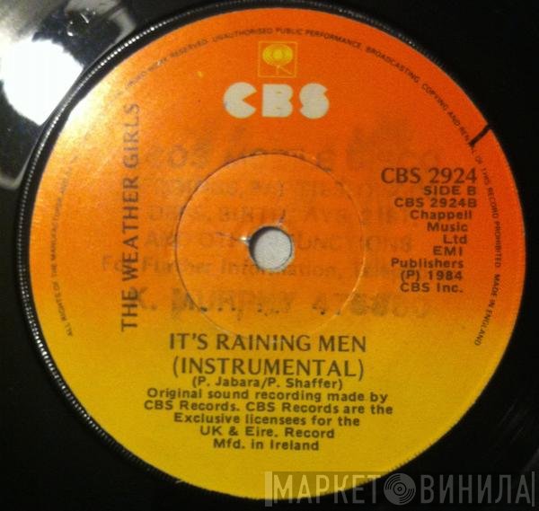 The Weather Girls  - It's Raining Men