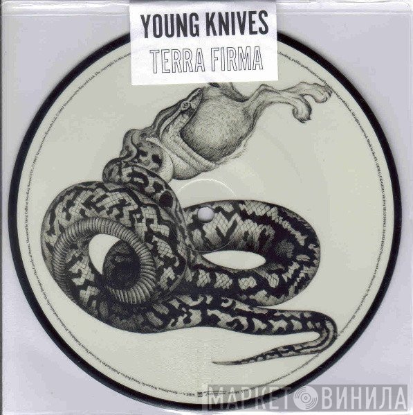 The Young Knives - Terra Firma