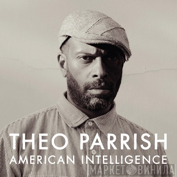 Theo Parrish  - American Intelligence