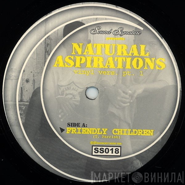 Theo Parrish - Natural Aspirations (Vinyl Vers. Pt. 1)