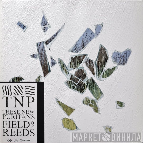 These New Puritans - Field Of Reeds