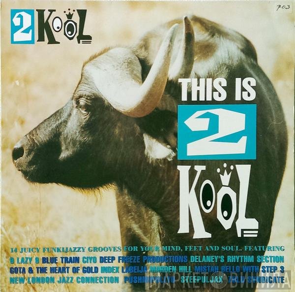  - This Is 2 Kool