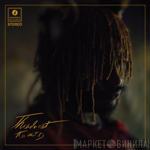 Thundercat - It Is What It Is