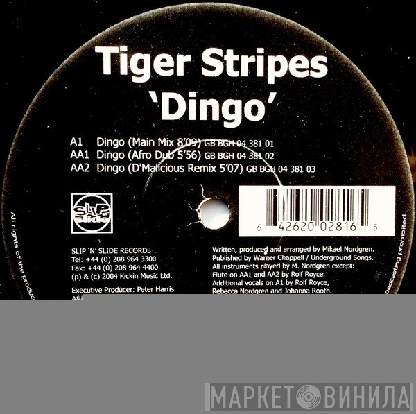 Tiger Stripes - Dingo