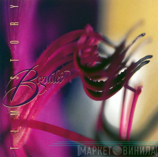 Tim Story  - Beguiled