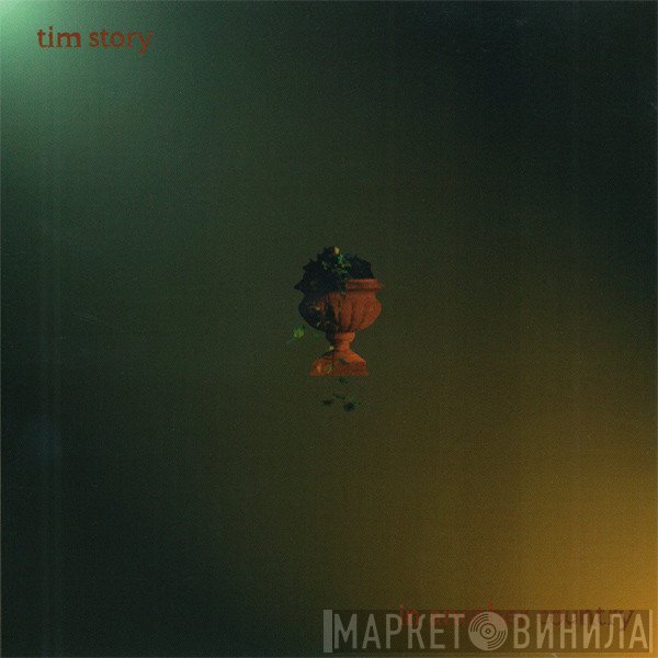 Tim Story - In Another Country