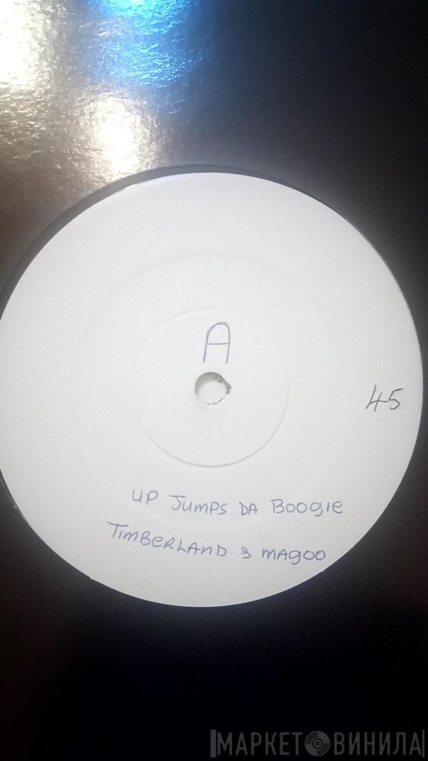 Timbaland &amp; Magoo - Up Jumps Da Boogie