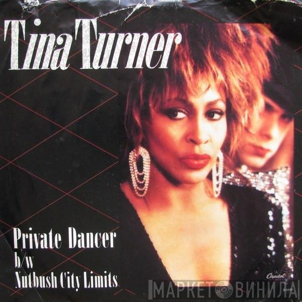 Tina Turner - Private Dancer / Nutbush City Limits