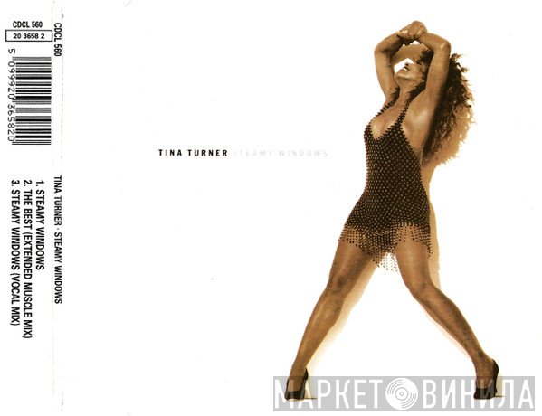 Tina Turner - Steamy Windows