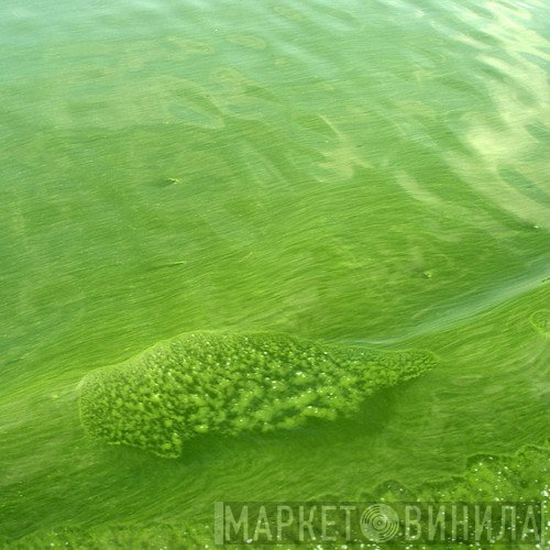 Tipper  - Algae Bloom In Seven