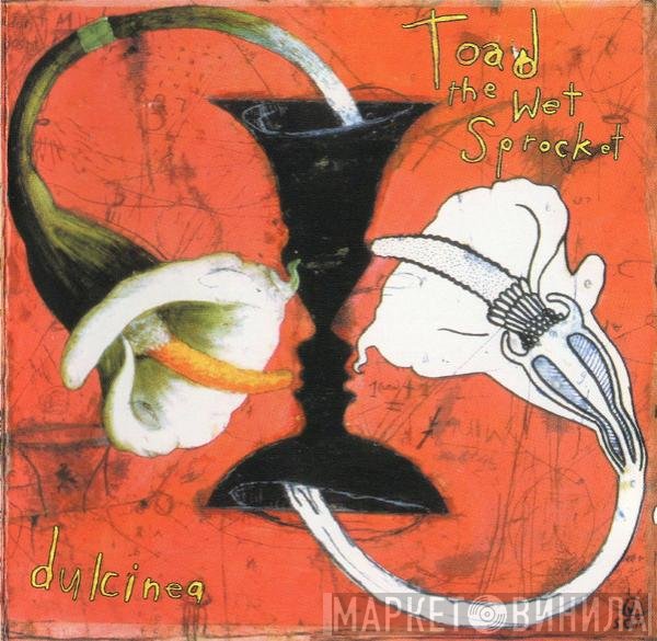 Toad The Wet Sprocket - Dulcinea