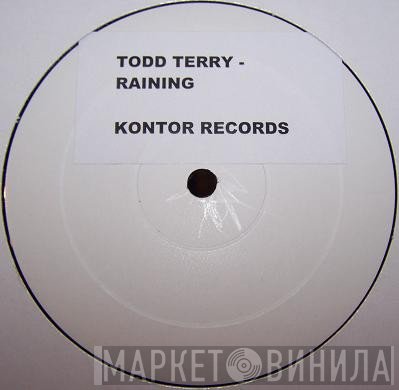 Todd Terry  - Raining