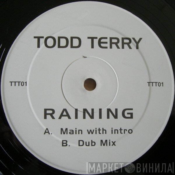 Todd Terry  - Raining