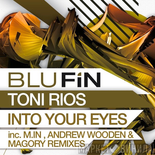Toni Rios  - Into Your Eyes